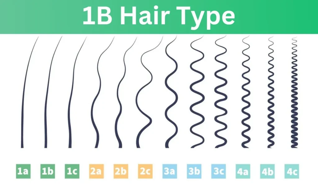 1b Hair