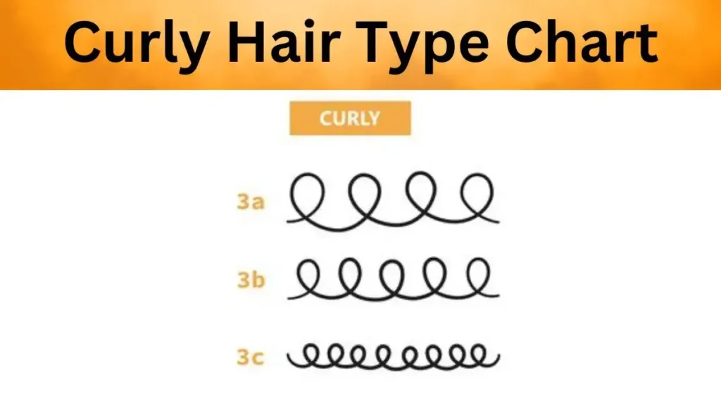 Curly Hair Type Chart