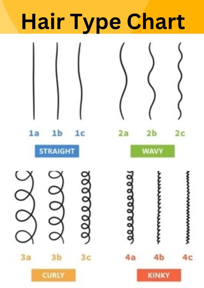 Hair Type Chart