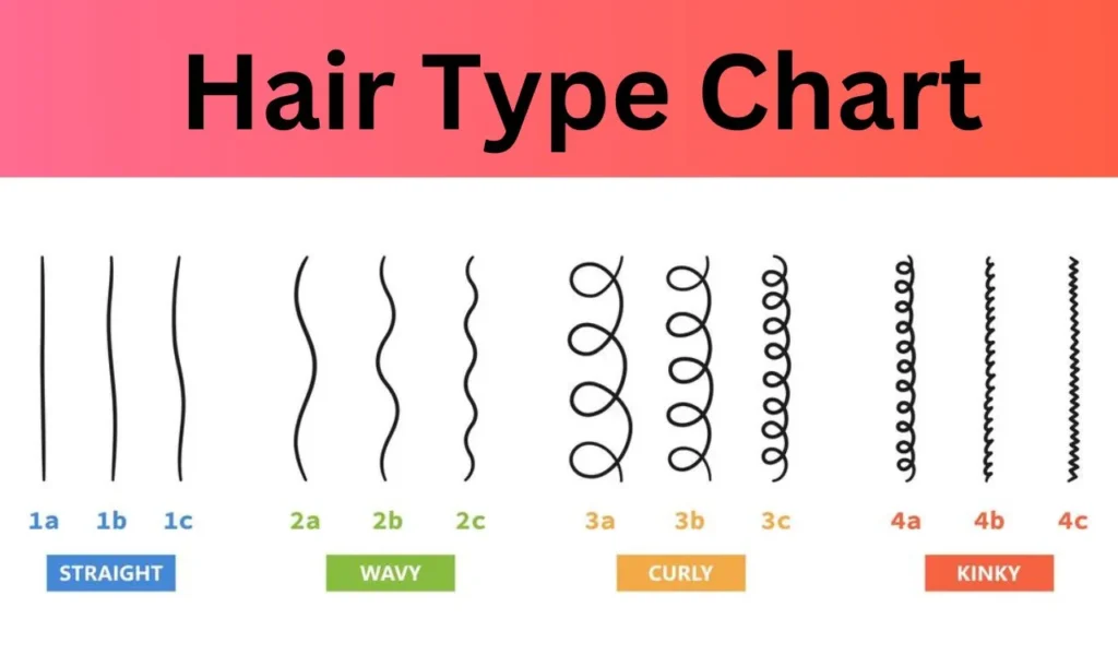 Hair Type Chart