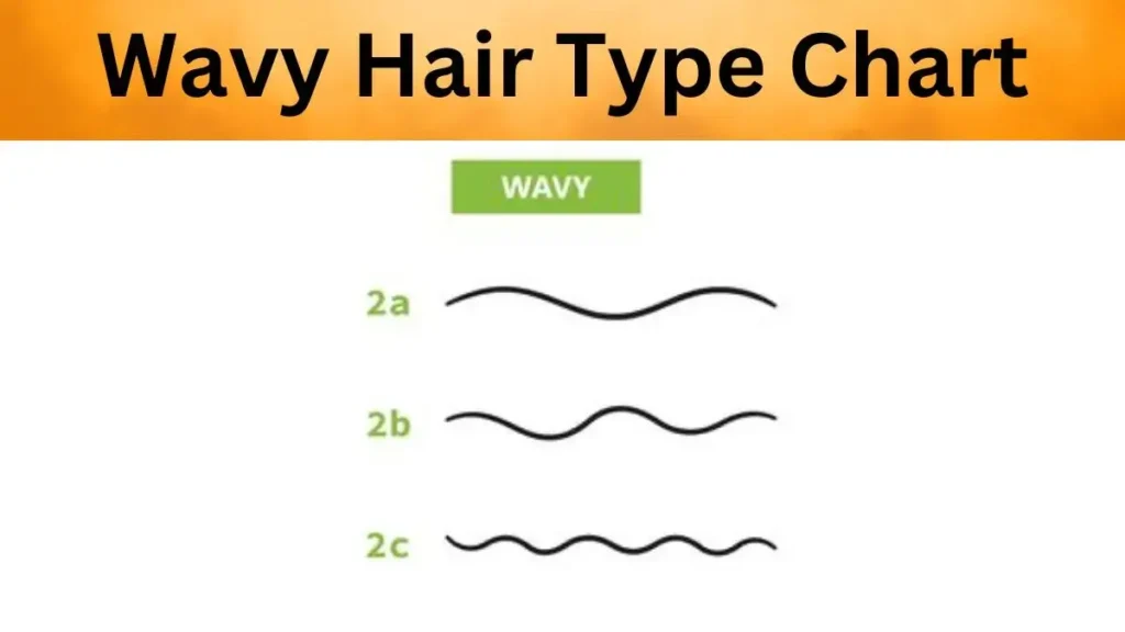 Wavy Hair Type Chart